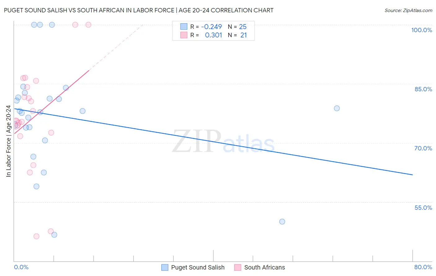 Puget Sound Salish vs South African In Labor Force | Age 20-24