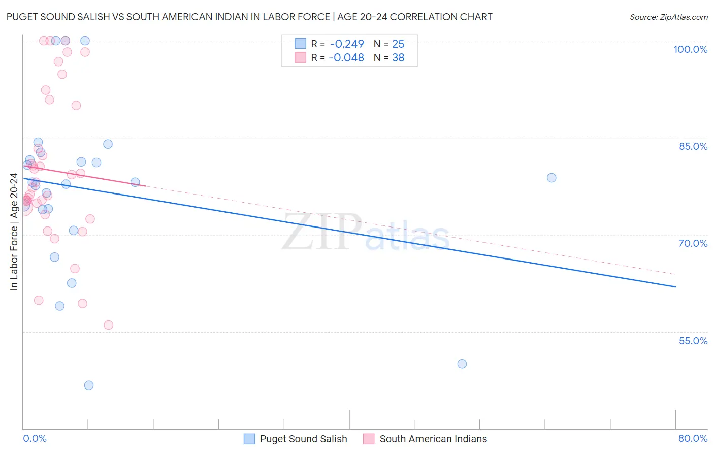 Puget Sound Salish vs South American Indian In Labor Force | Age 20-24