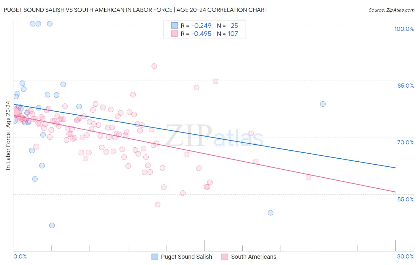 Puget Sound Salish vs South American In Labor Force | Age 20-24