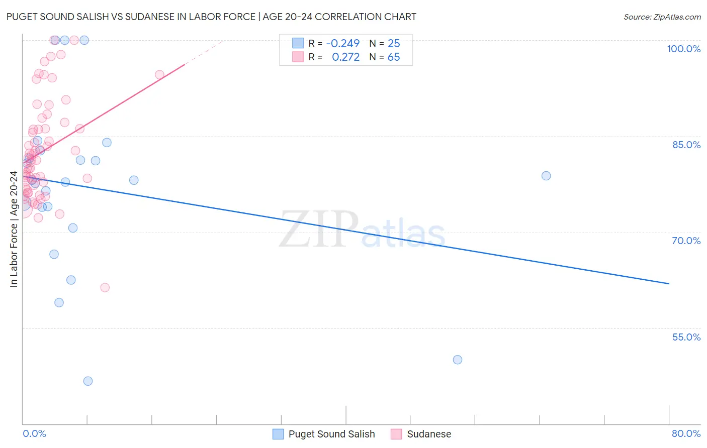 Puget Sound Salish vs Sudanese In Labor Force | Age 20-24