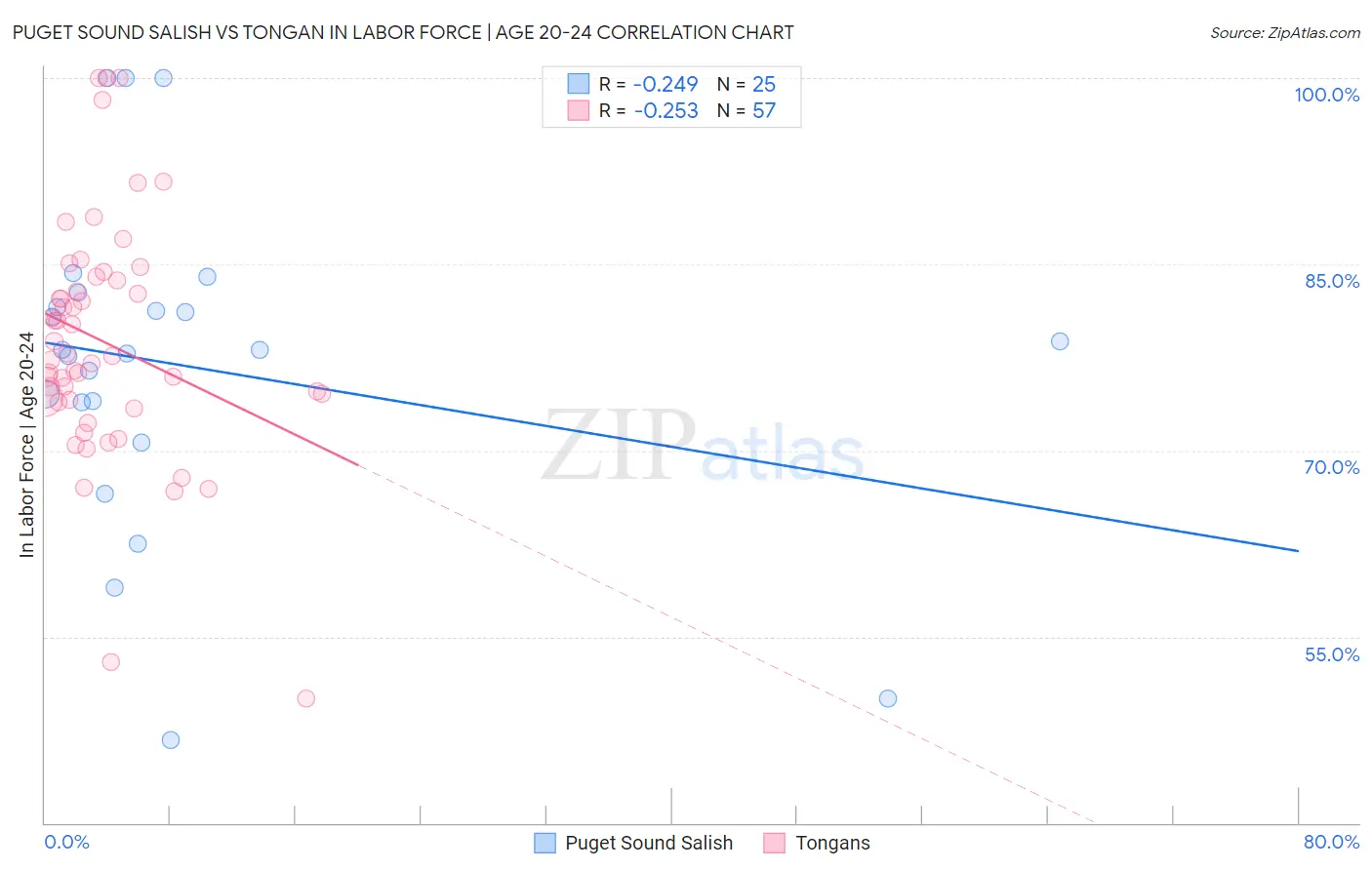 Puget Sound Salish vs Tongan In Labor Force | Age 20-24