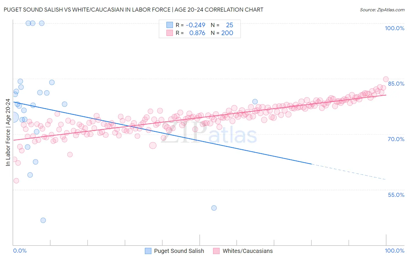 Puget Sound Salish vs White/Caucasian In Labor Force | Age 20-24