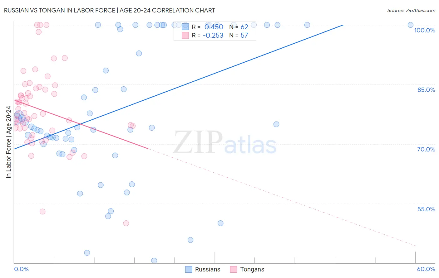 Russian vs Tongan In Labor Force | Age 20-24