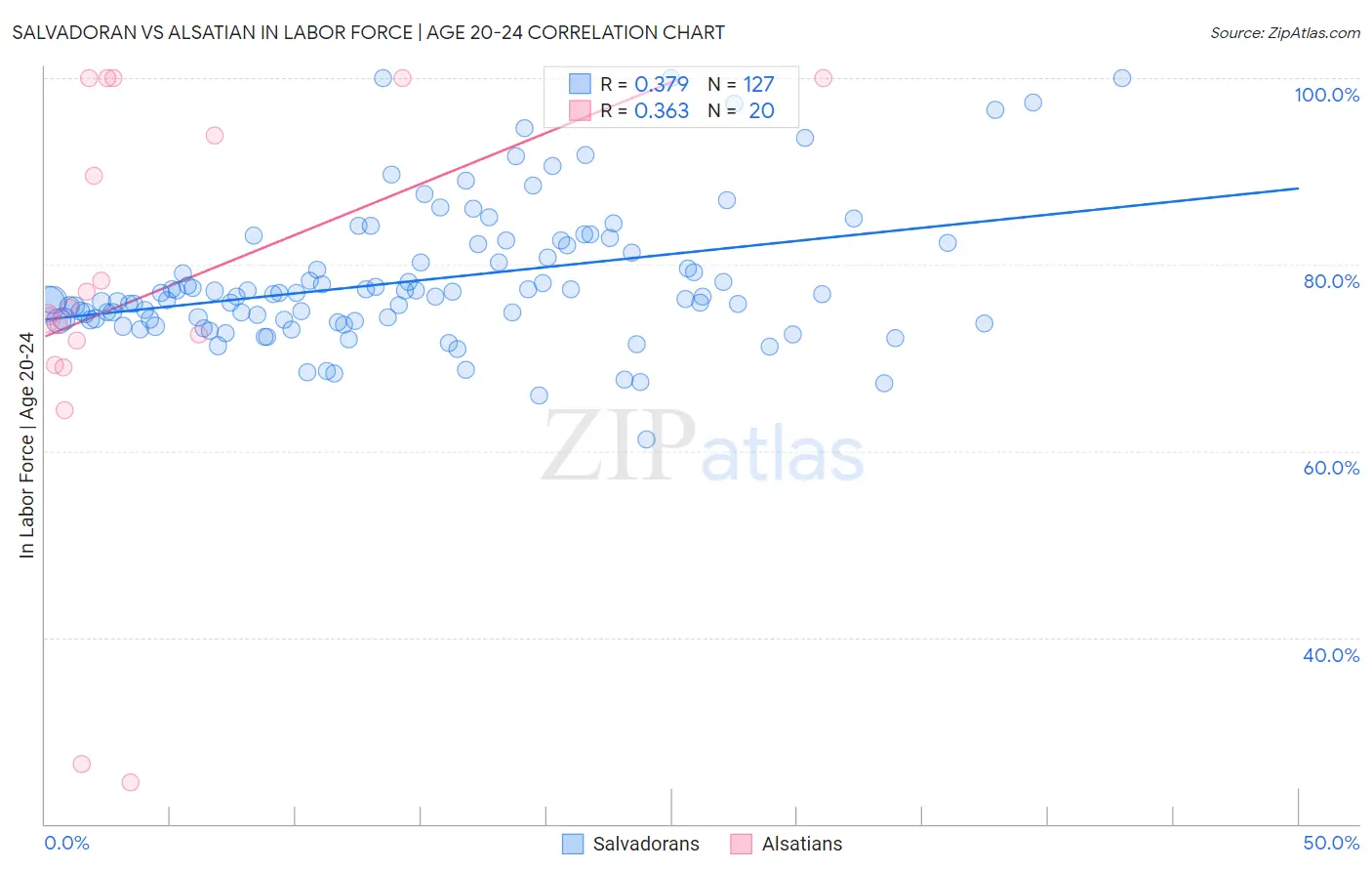 Salvadoran vs Alsatian In Labor Force | Age 20-24