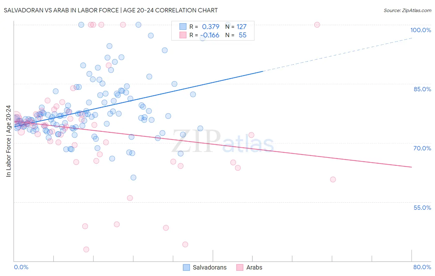 Salvadoran vs Arab In Labor Force | Age 20-24