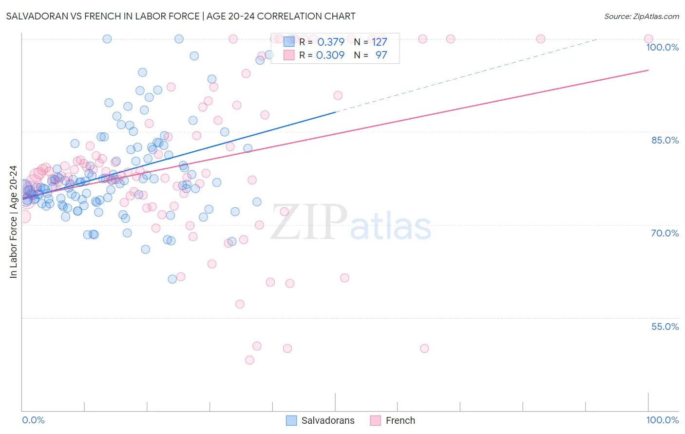Salvadoran vs French In Labor Force | Age 20-24