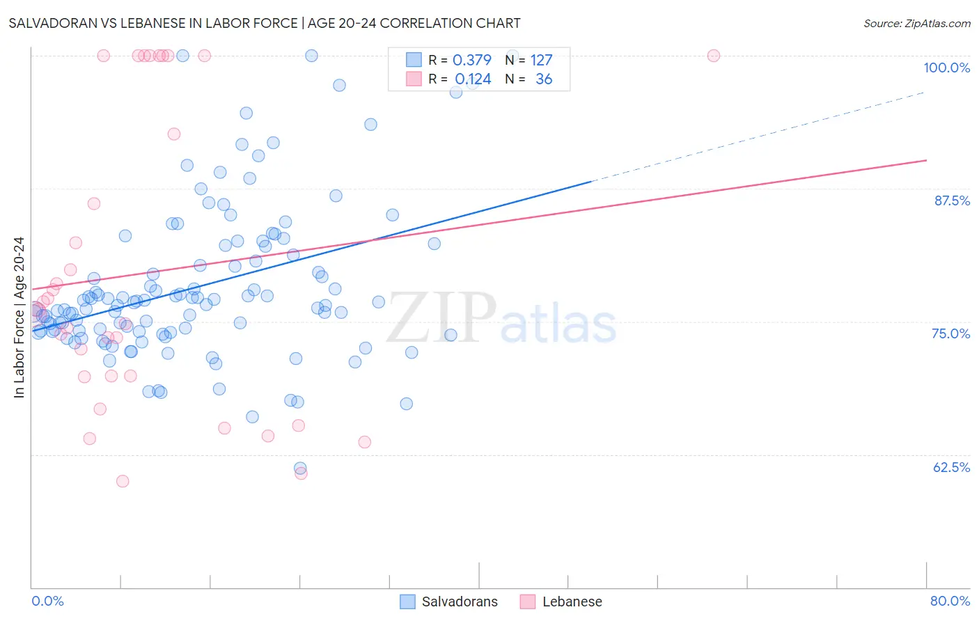 Salvadoran vs Lebanese In Labor Force | Age 20-24