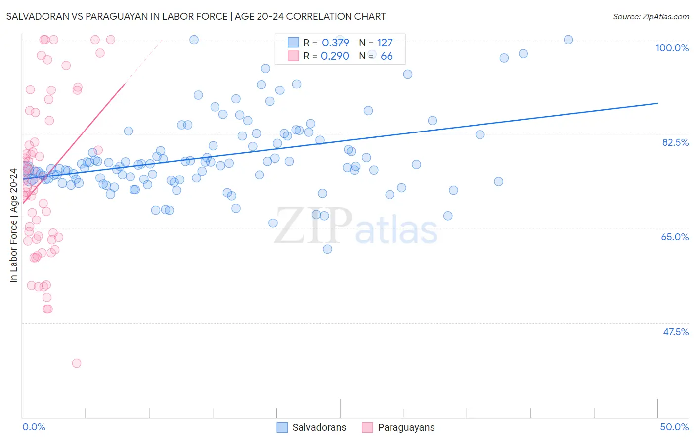 Salvadoran vs Paraguayan In Labor Force | Age 20-24