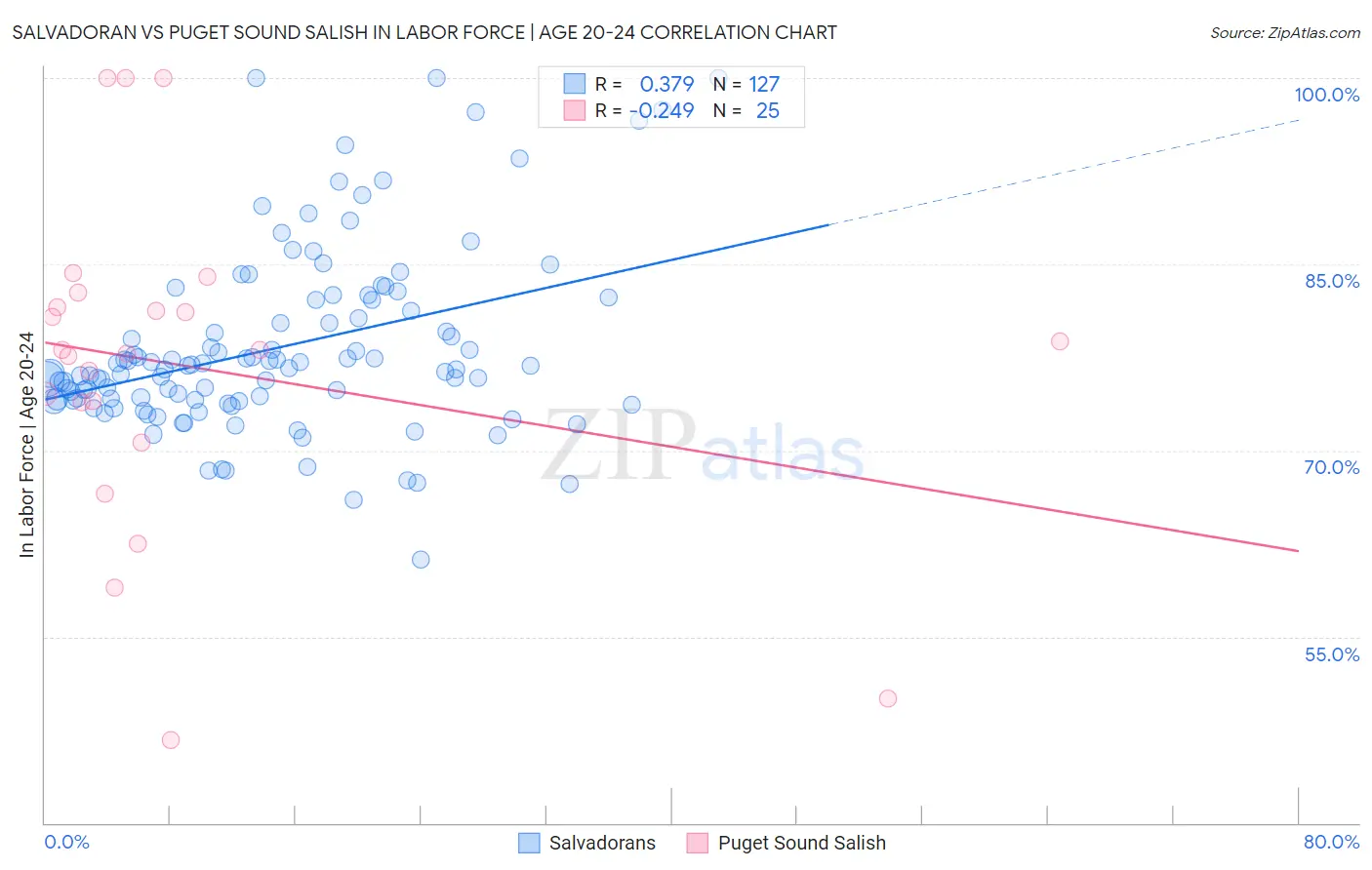 Salvadoran vs Puget Sound Salish In Labor Force | Age 20-24