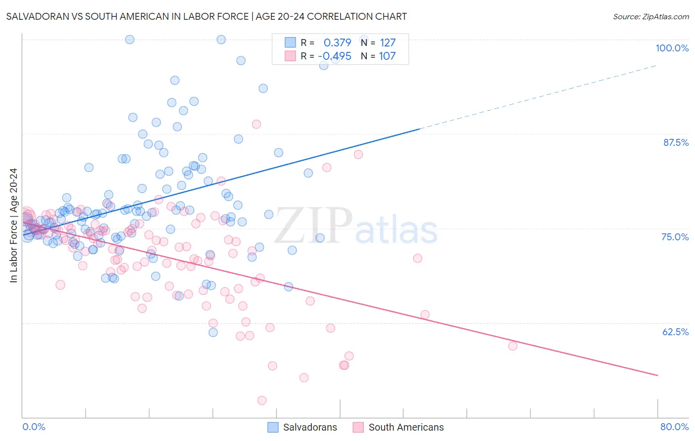 Salvadoran vs South American In Labor Force | Age 20-24