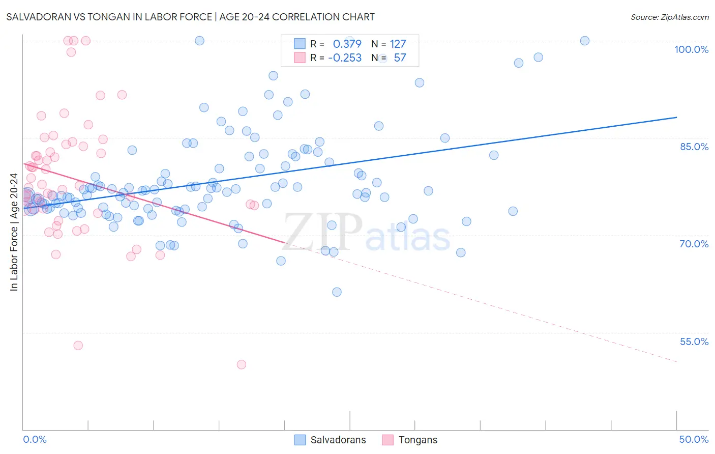 Salvadoran vs Tongan In Labor Force | Age 20-24