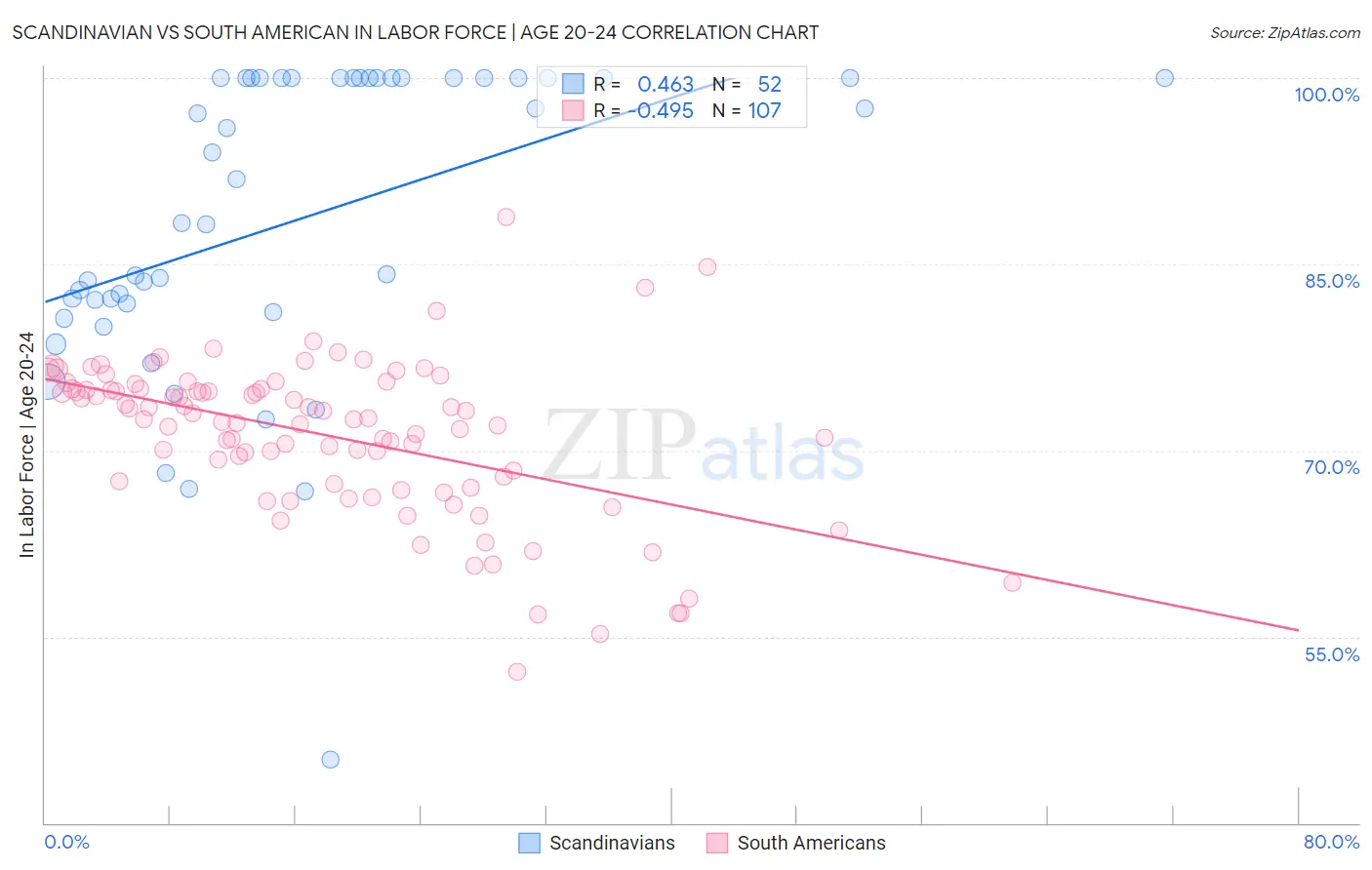 Scandinavian vs South American In Labor Force | Age 20-24