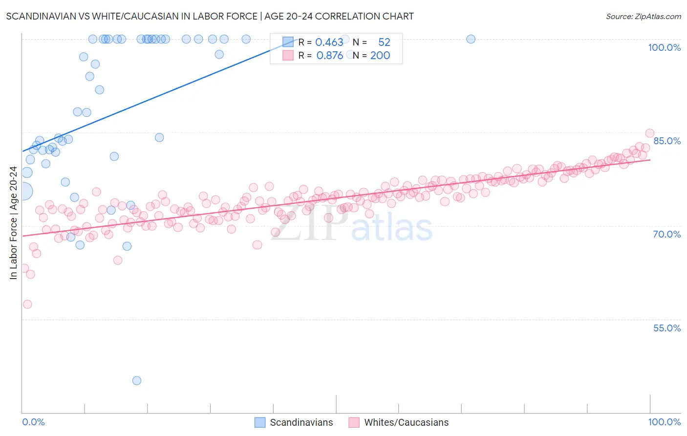 Scandinavian vs White/Caucasian In Labor Force | Age 20-24