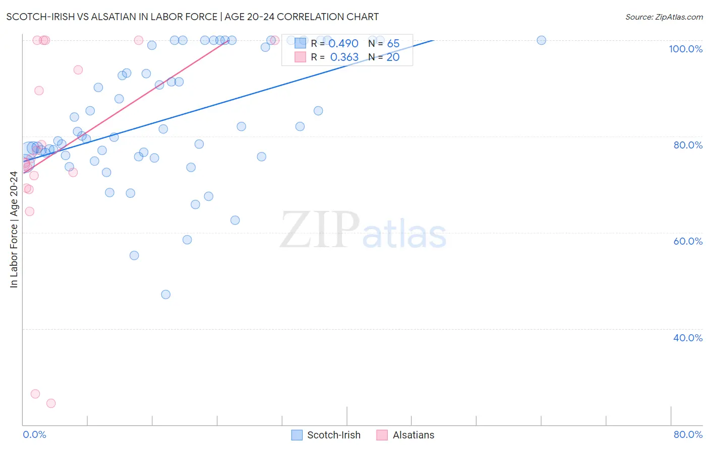 Scotch-Irish vs Alsatian In Labor Force | Age 20-24