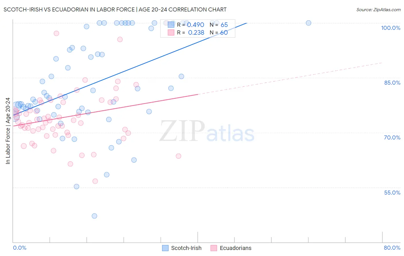 Scotch-Irish vs Ecuadorian In Labor Force | Age 20-24