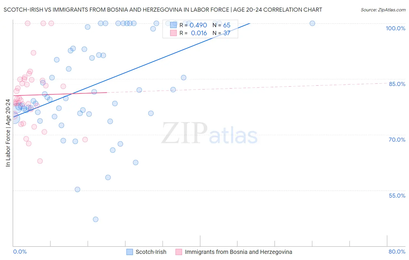 Scotch-Irish vs Immigrants from Bosnia and Herzegovina In Labor Force | Age 20-24