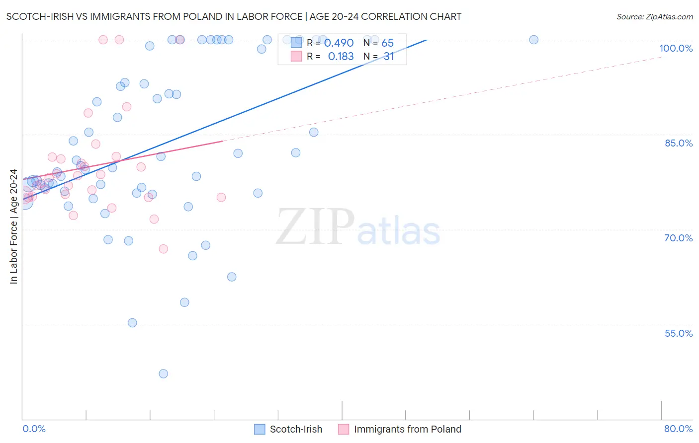 Scotch-Irish vs Immigrants from Poland In Labor Force | Age 20-24