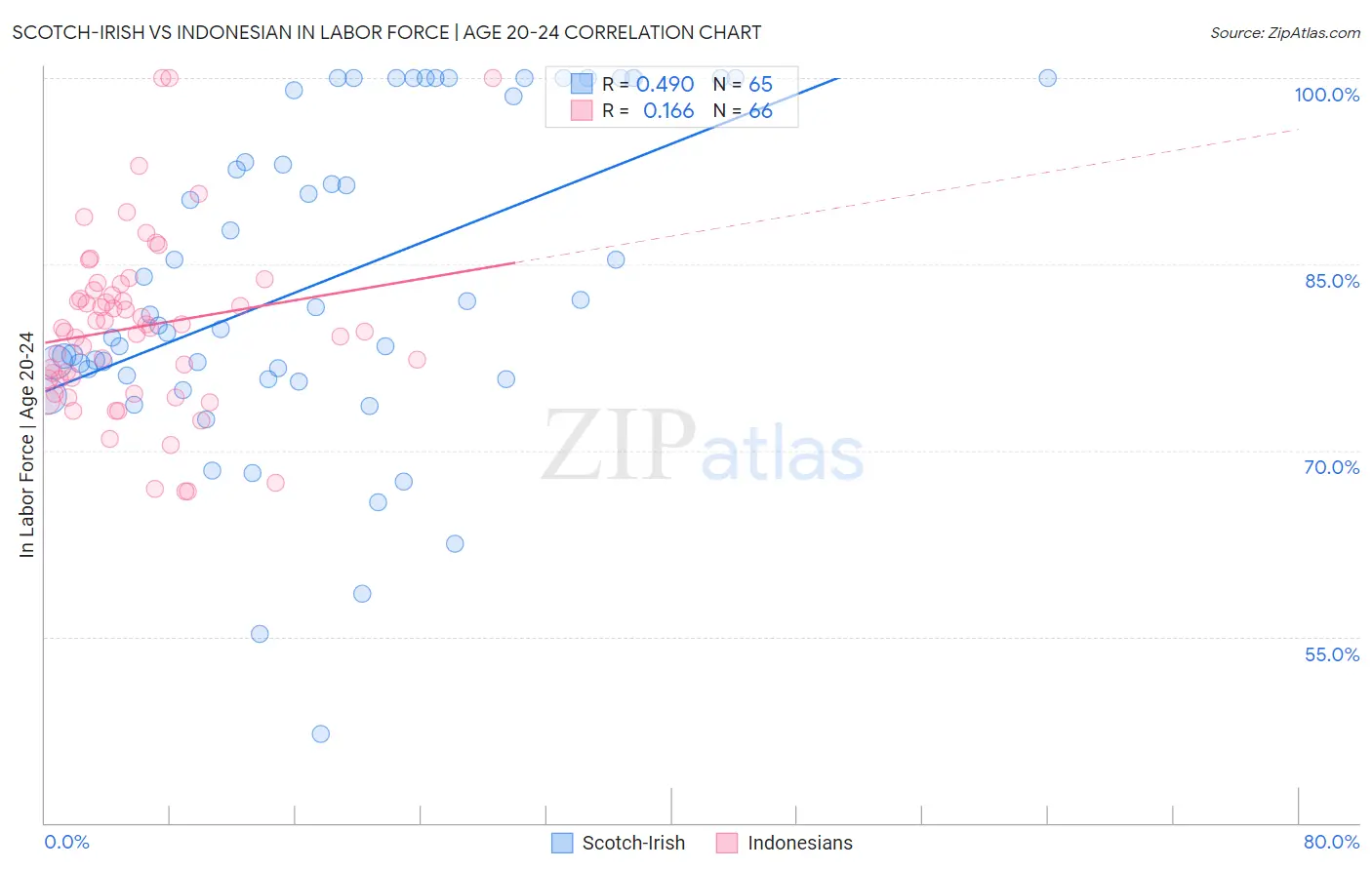 Scotch-Irish vs Indonesian In Labor Force | Age 20-24