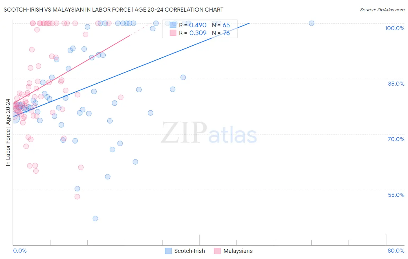 Scotch-Irish vs Malaysian In Labor Force | Age 20-24