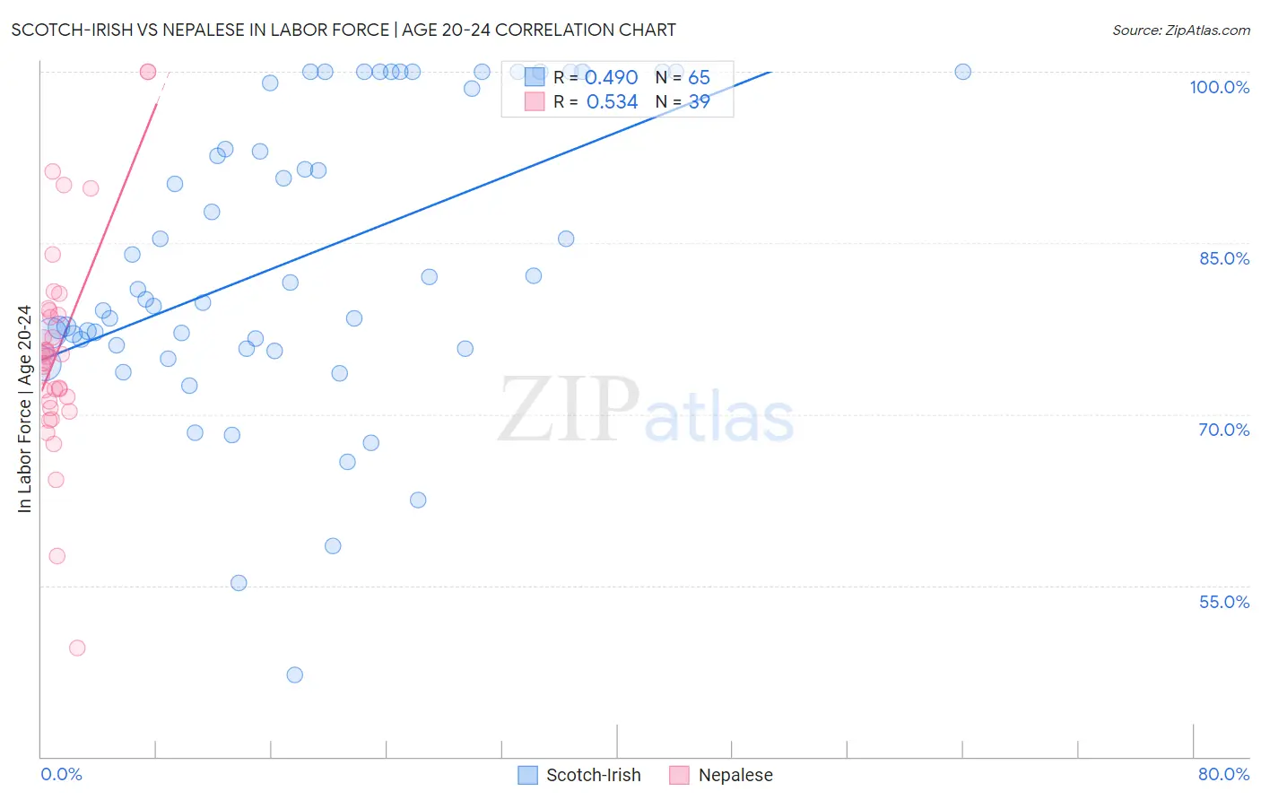 Scotch-Irish vs Nepalese In Labor Force | Age 20-24