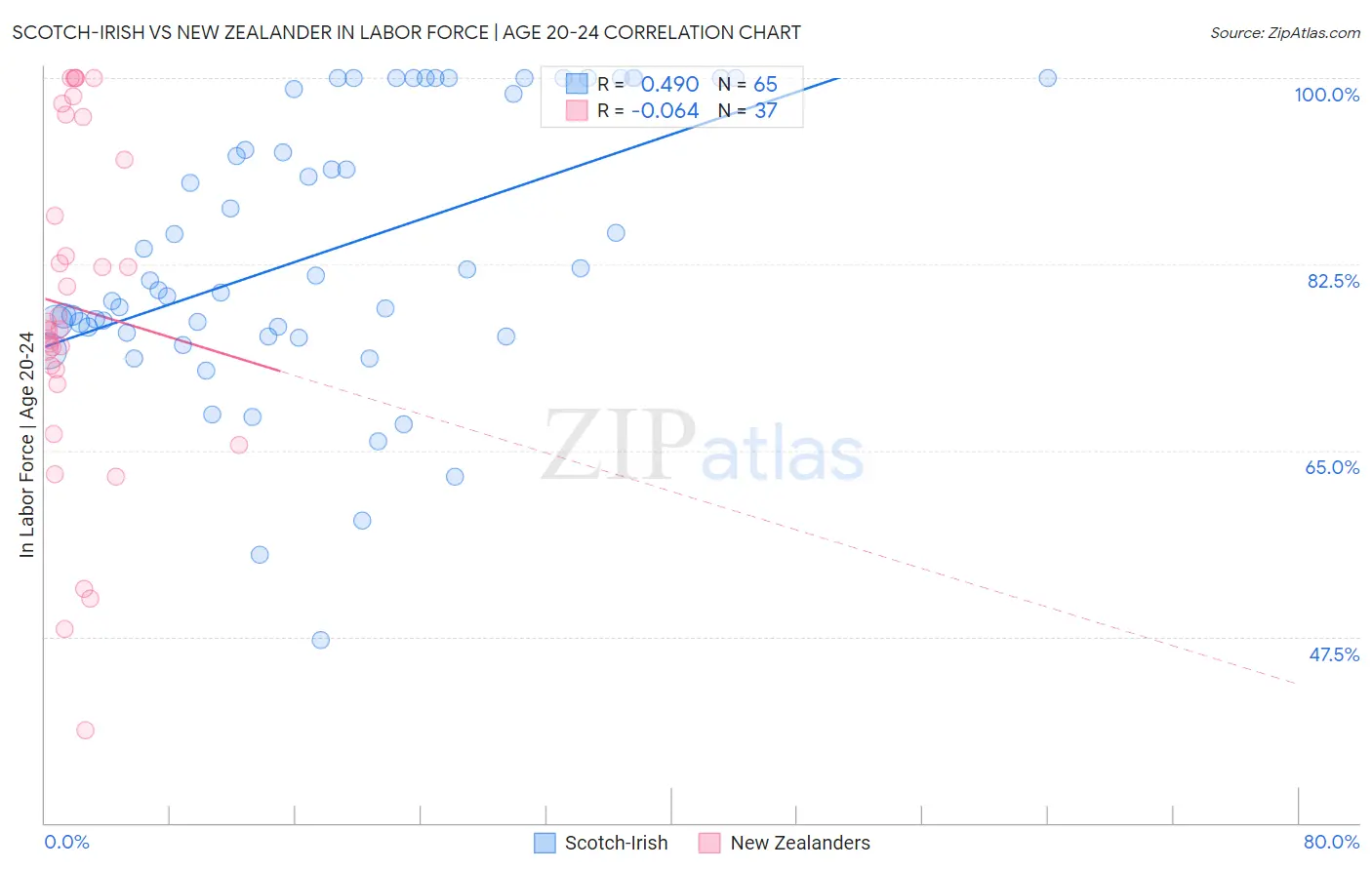 Scotch-Irish vs New Zealander In Labor Force | Age 20-24