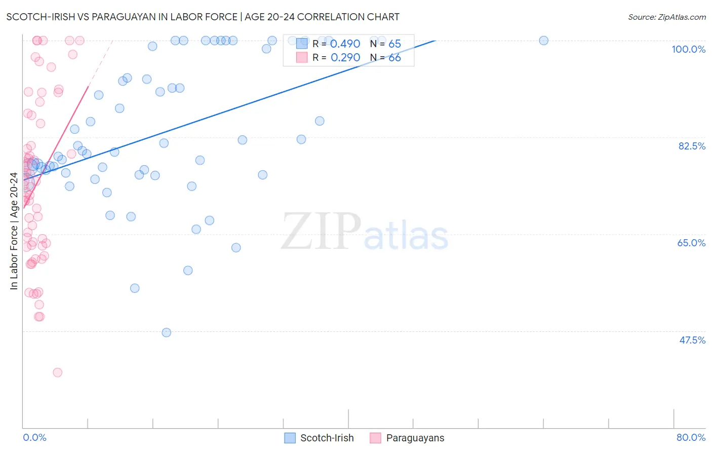 Scotch-Irish vs Paraguayan In Labor Force | Age 20-24