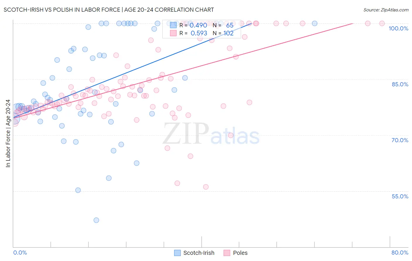 Scotch-Irish vs Polish In Labor Force | Age 20-24