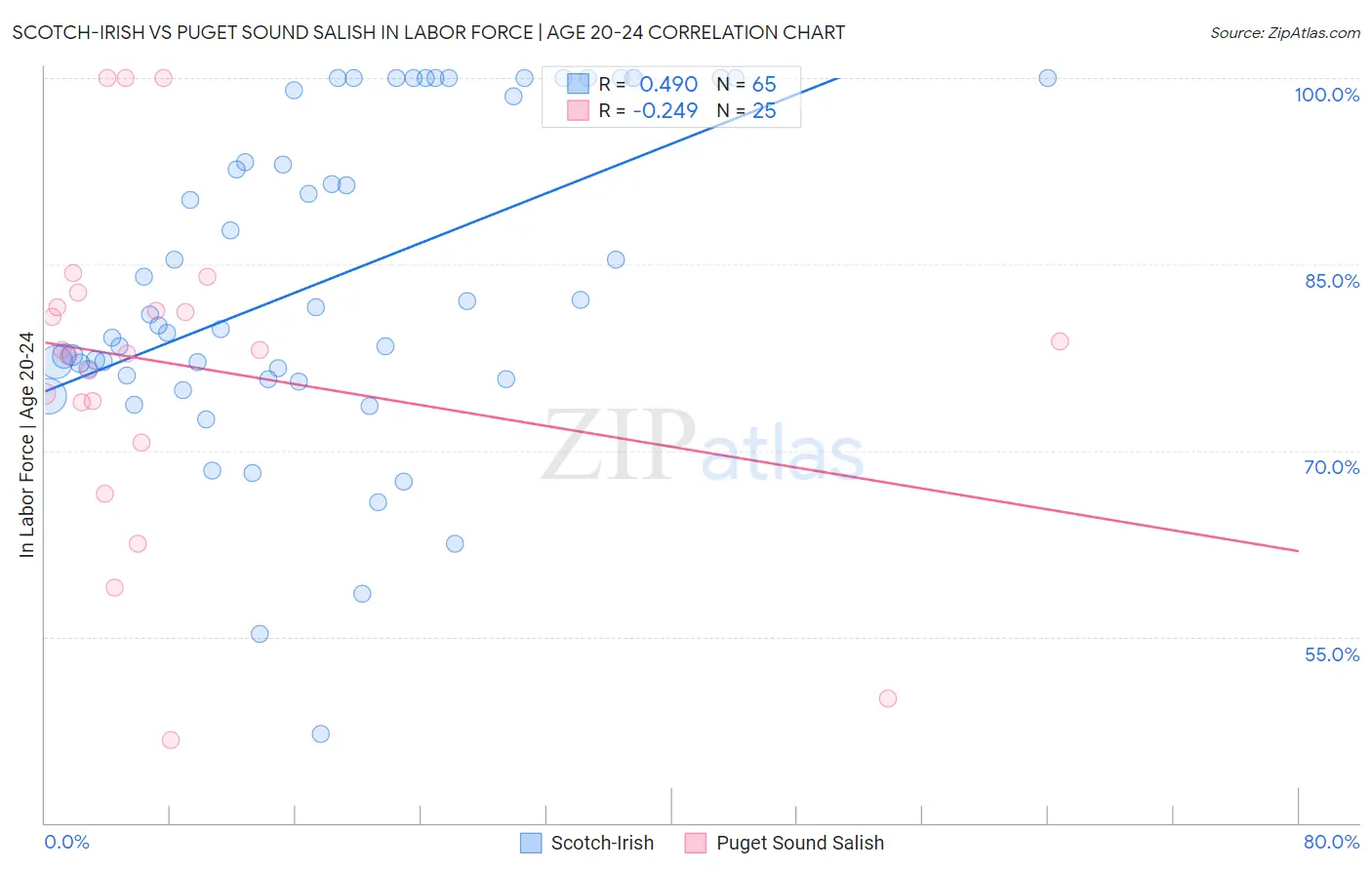 Scotch-Irish vs Puget Sound Salish In Labor Force | Age 20-24