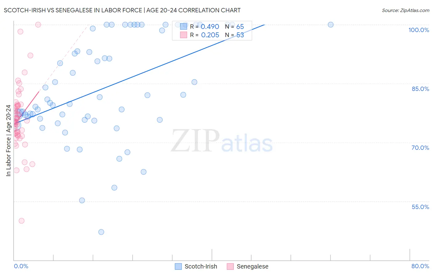 Scotch-Irish vs Senegalese In Labor Force | Age 20-24