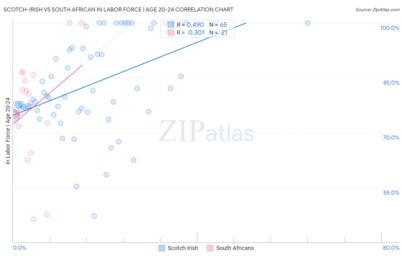 Scotch-Irish vs South African In Labor Force | Age 20-24