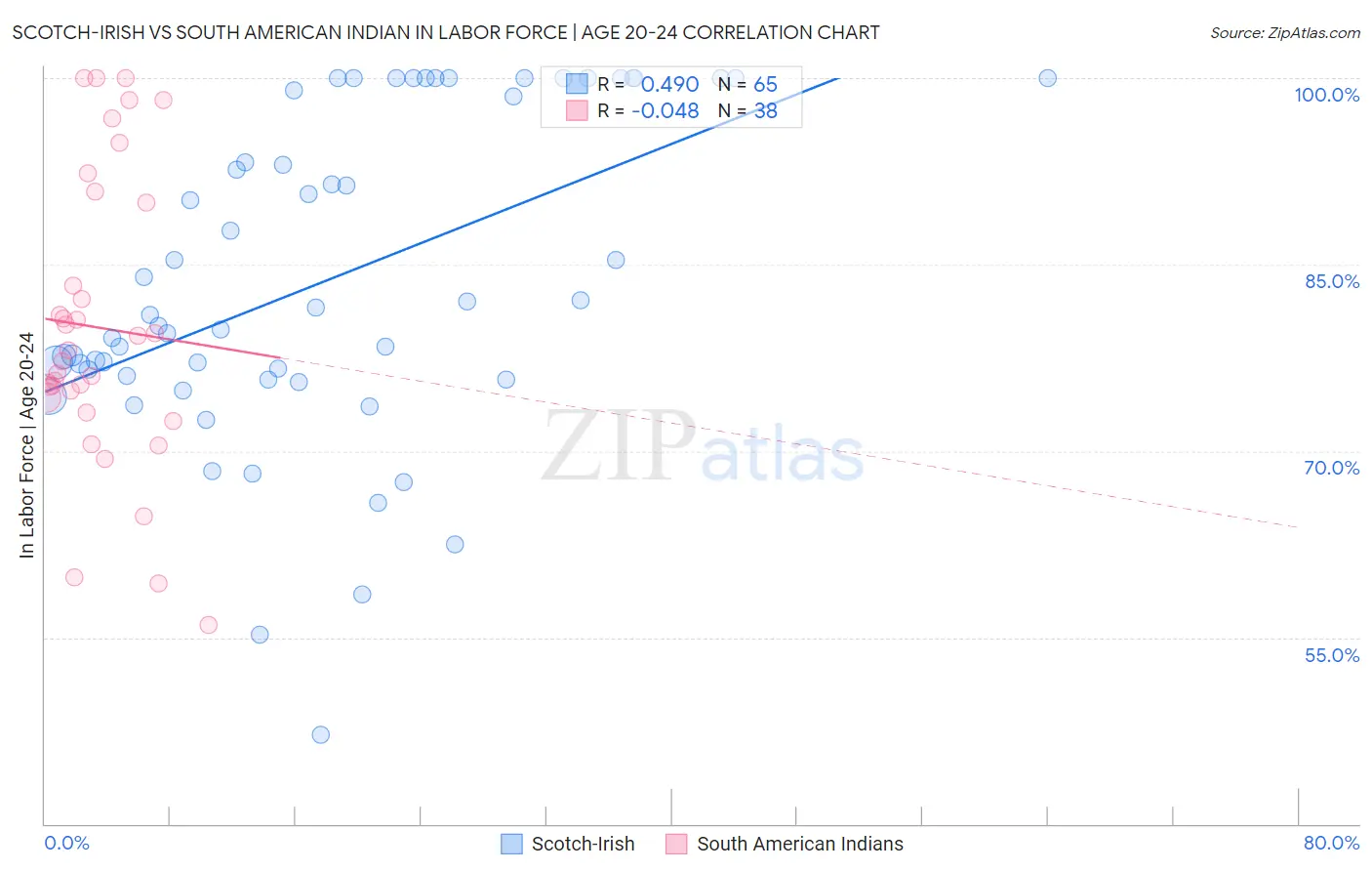 Scotch-Irish vs South American Indian In Labor Force | Age 20-24
