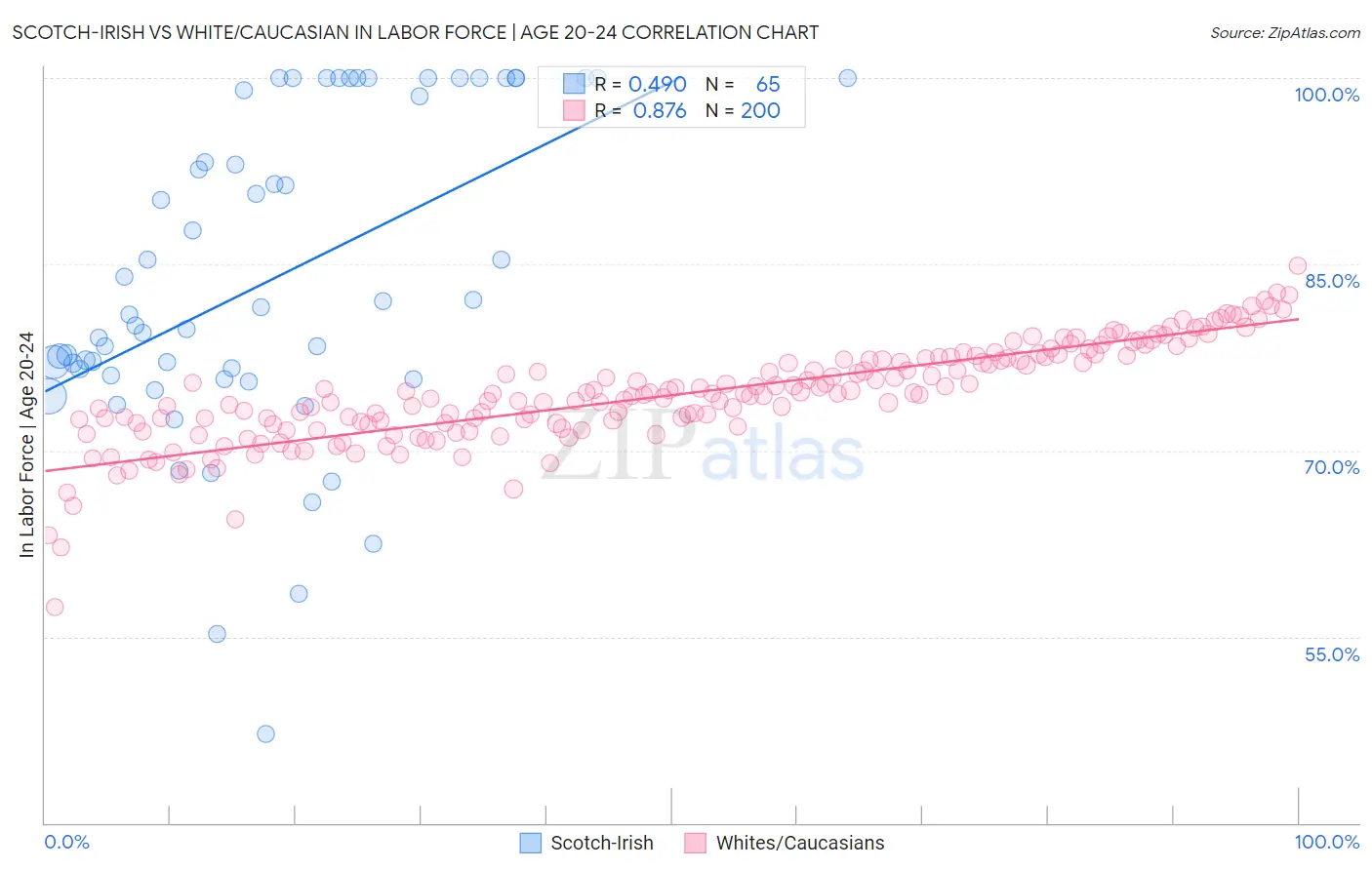 Scotch-Irish vs White/Caucasian In Labor Force | Age 20-24