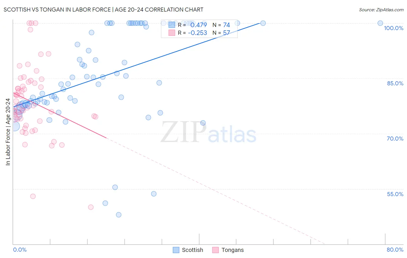 Scottish vs Tongan In Labor Force | Age 20-24