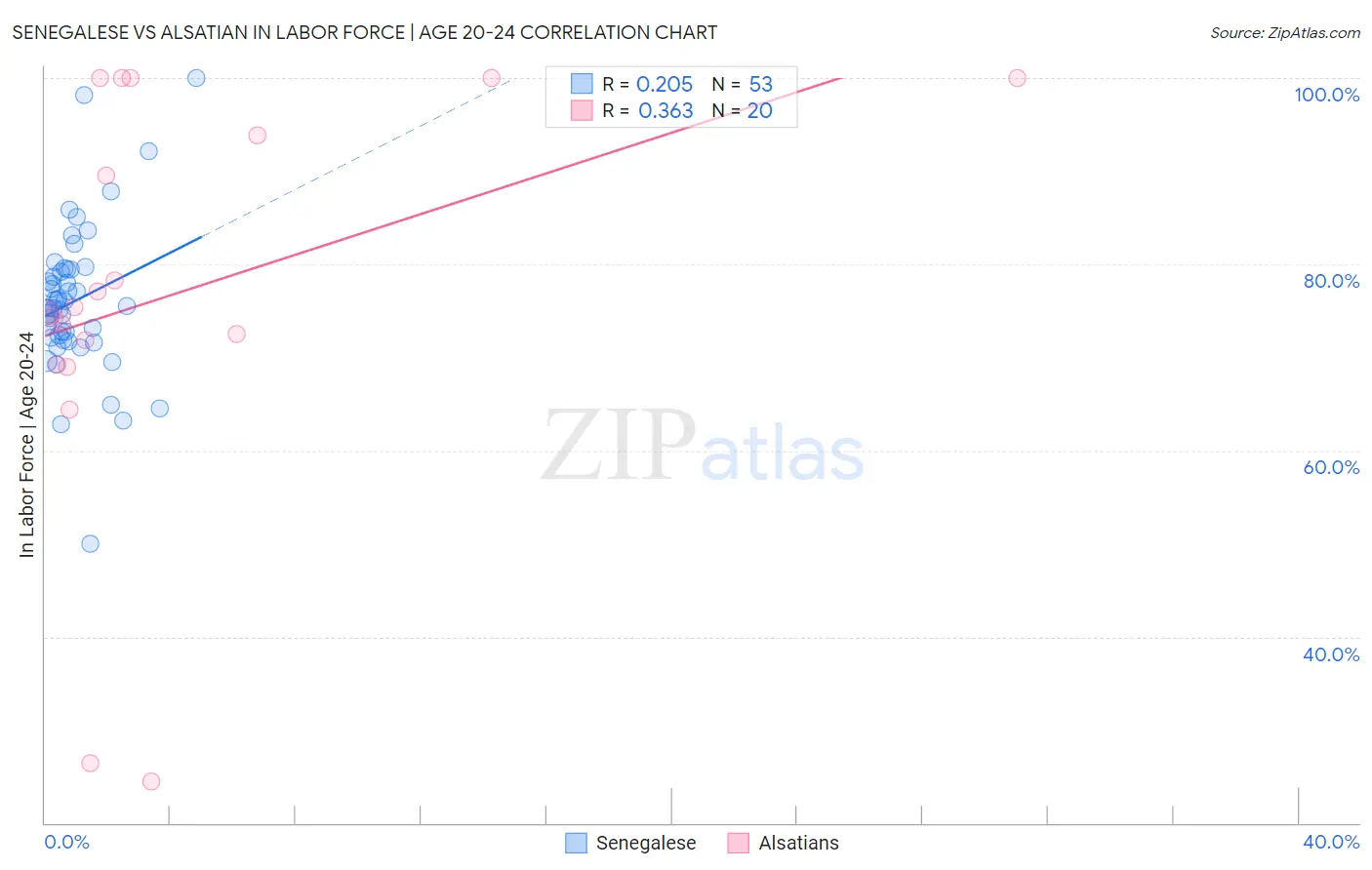 Senegalese vs Alsatian In Labor Force | Age 20-24