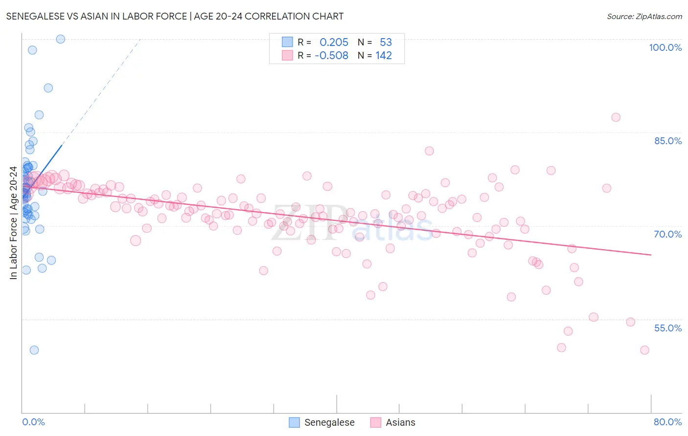 Senegalese vs Asian In Labor Force | Age 20-24