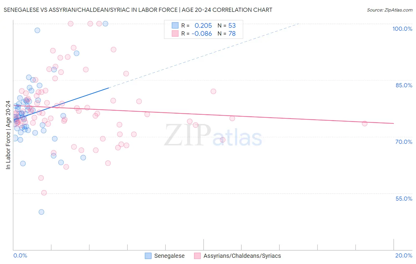 Senegalese vs Assyrian/Chaldean/Syriac In Labor Force | Age 20-24