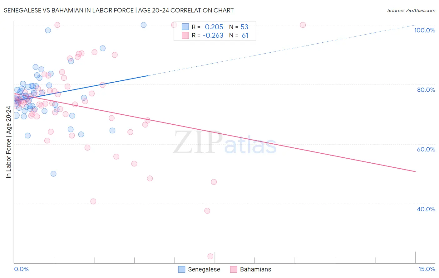 Senegalese vs Bahamian In Labor Force | Age 20-24