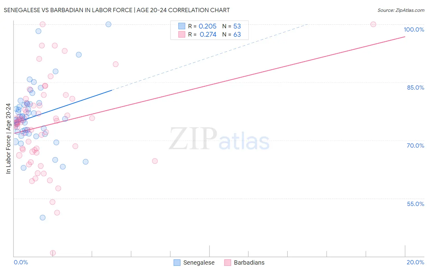 Senegalese vs Barbadian In Labor Force | Age 20-24