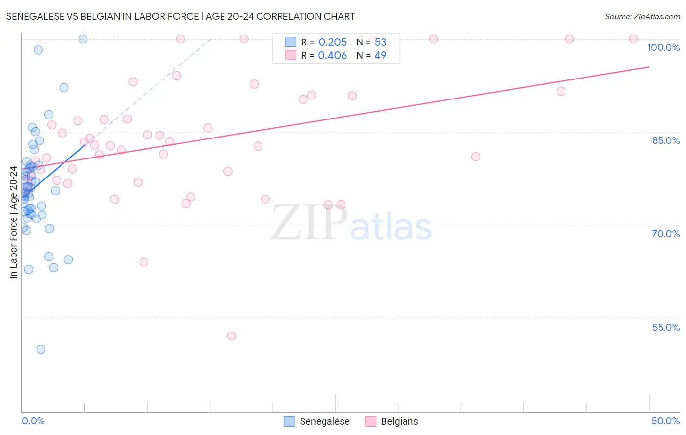 Senegalese vs Belgian In Labor Force | Age 20-24