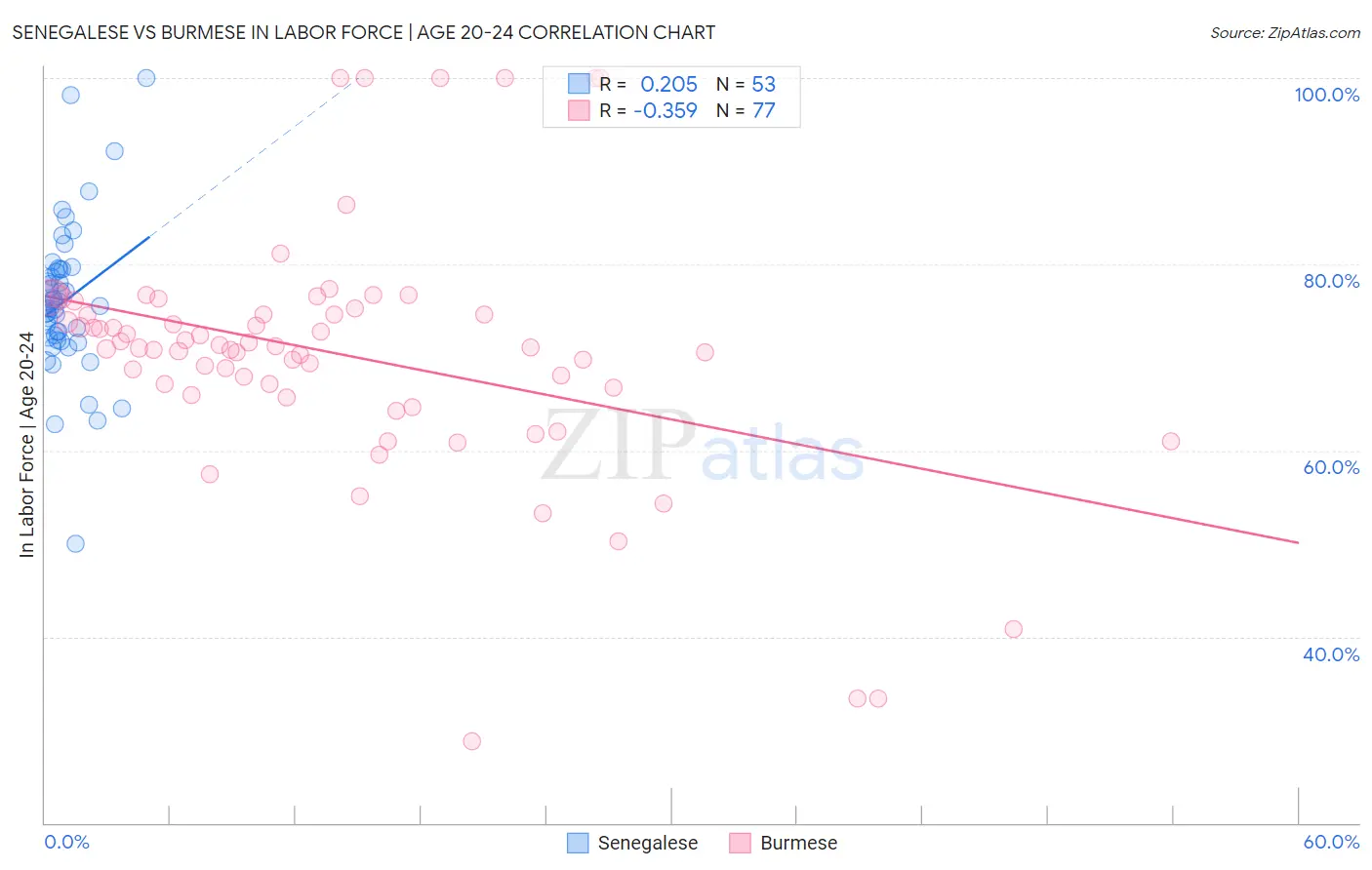 Senegalese vs Burmese In Labor Force | Age 20-24