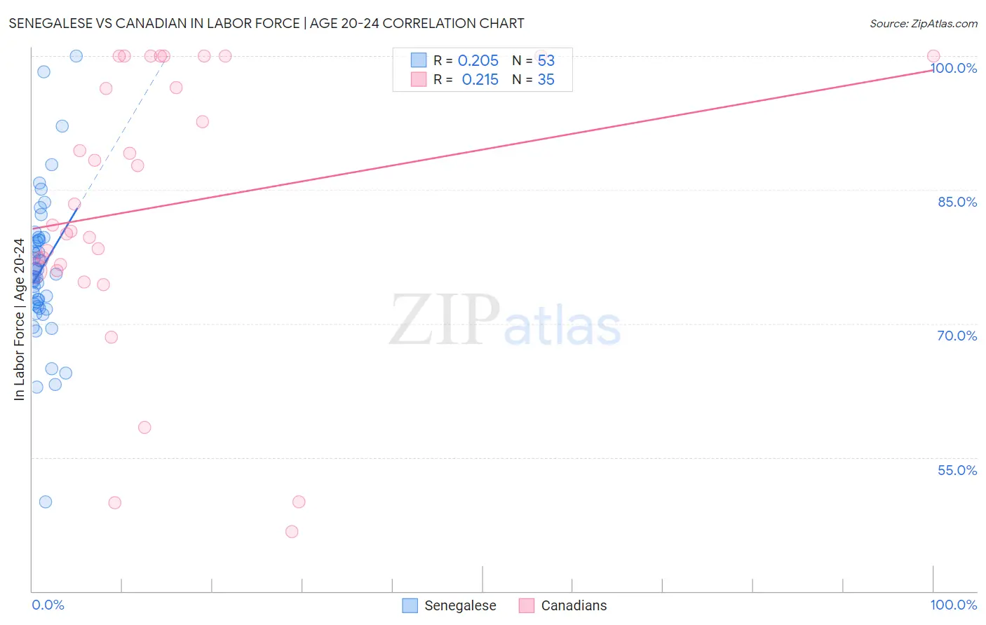 Senegalese vs Canadian In Labor Force | Age 20-24