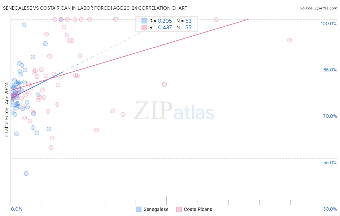 Senegalese vs Costa Rican In Labor Force | Age 20-24
