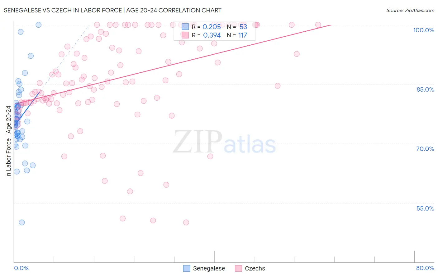 Senegalese vs Czech In Labor Force | Age 20-24