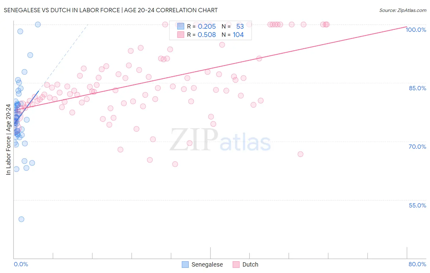 Senegalese vs Dutch In Labor Force | Age 20-24