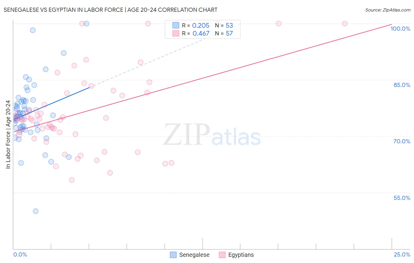 Senegalese vs Egyptian In Labor Force | Age 20-24