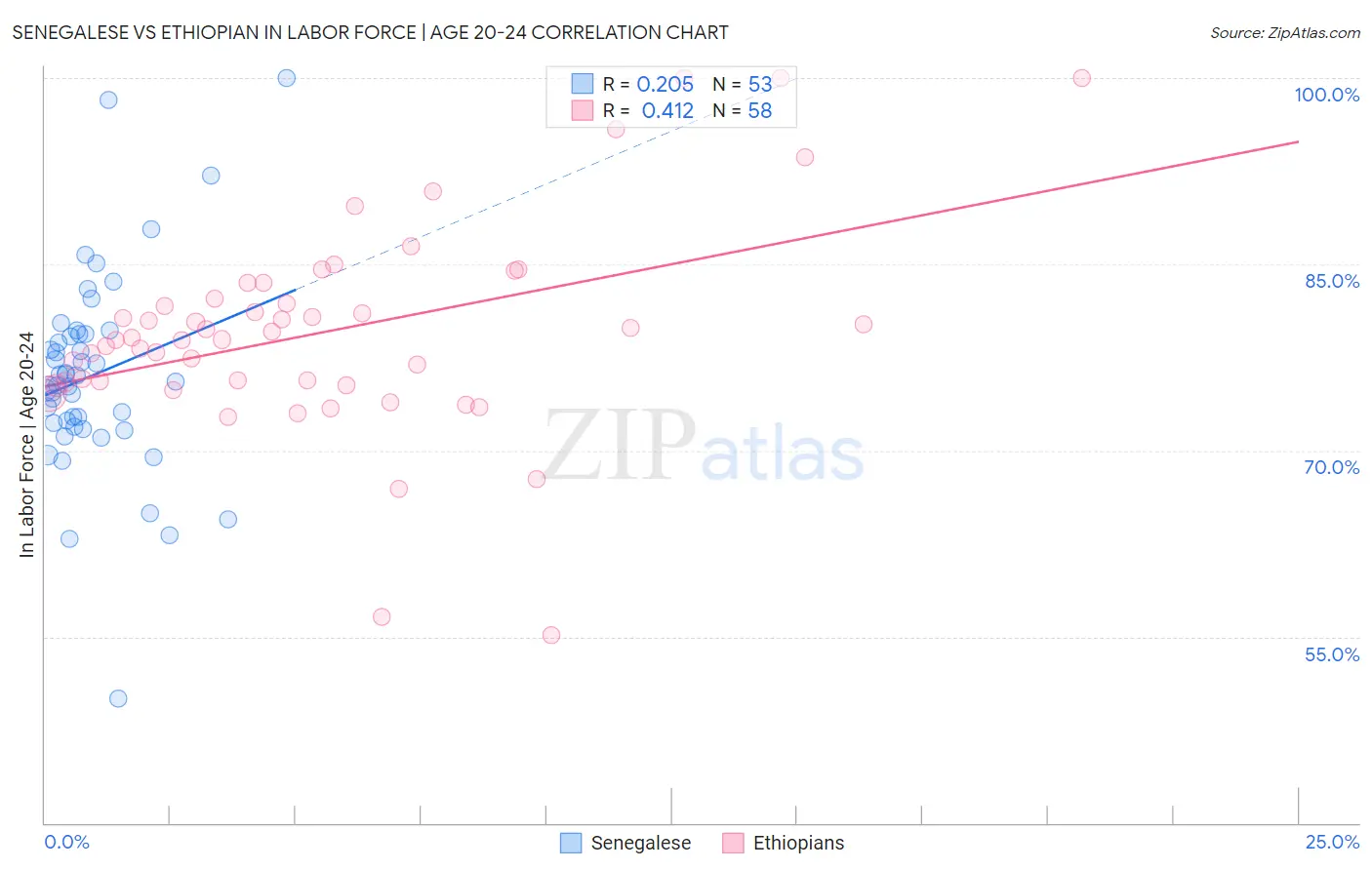 Senegalese vs Ethiopian In Labor Force | Age 20-24
