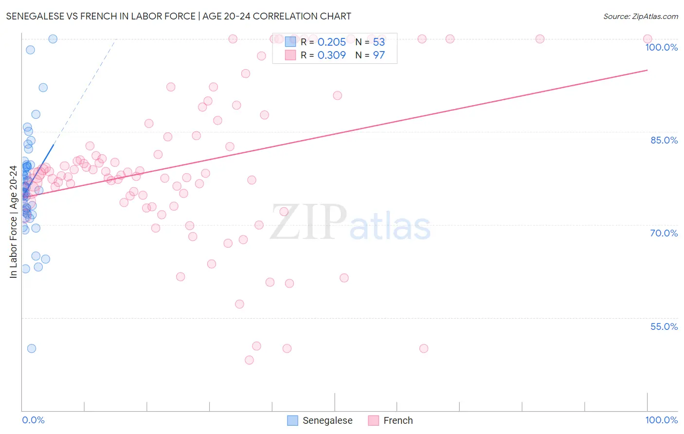 Senegalese vs French In Labor Force | Age 20-24