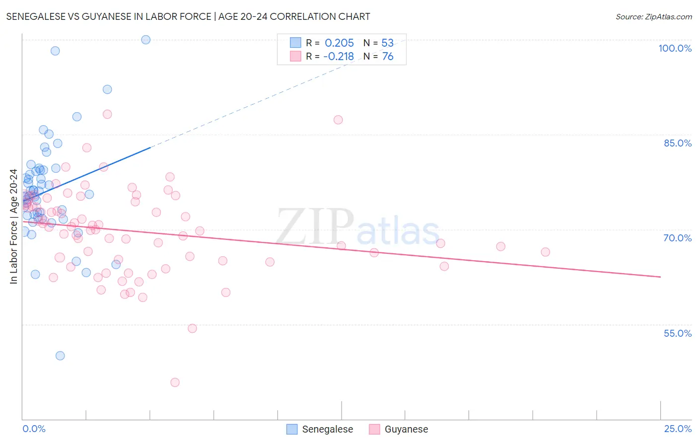 Senegalese vs Guyanese In Labor Force | Age 20-24