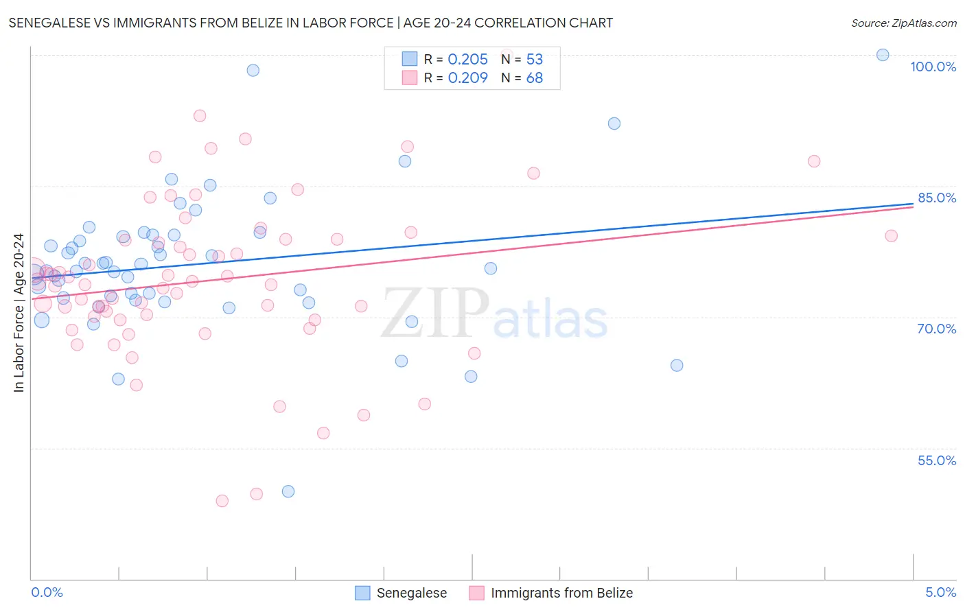 Senegalese vs Immigrants from Belize In Labor Force | Age 20-24