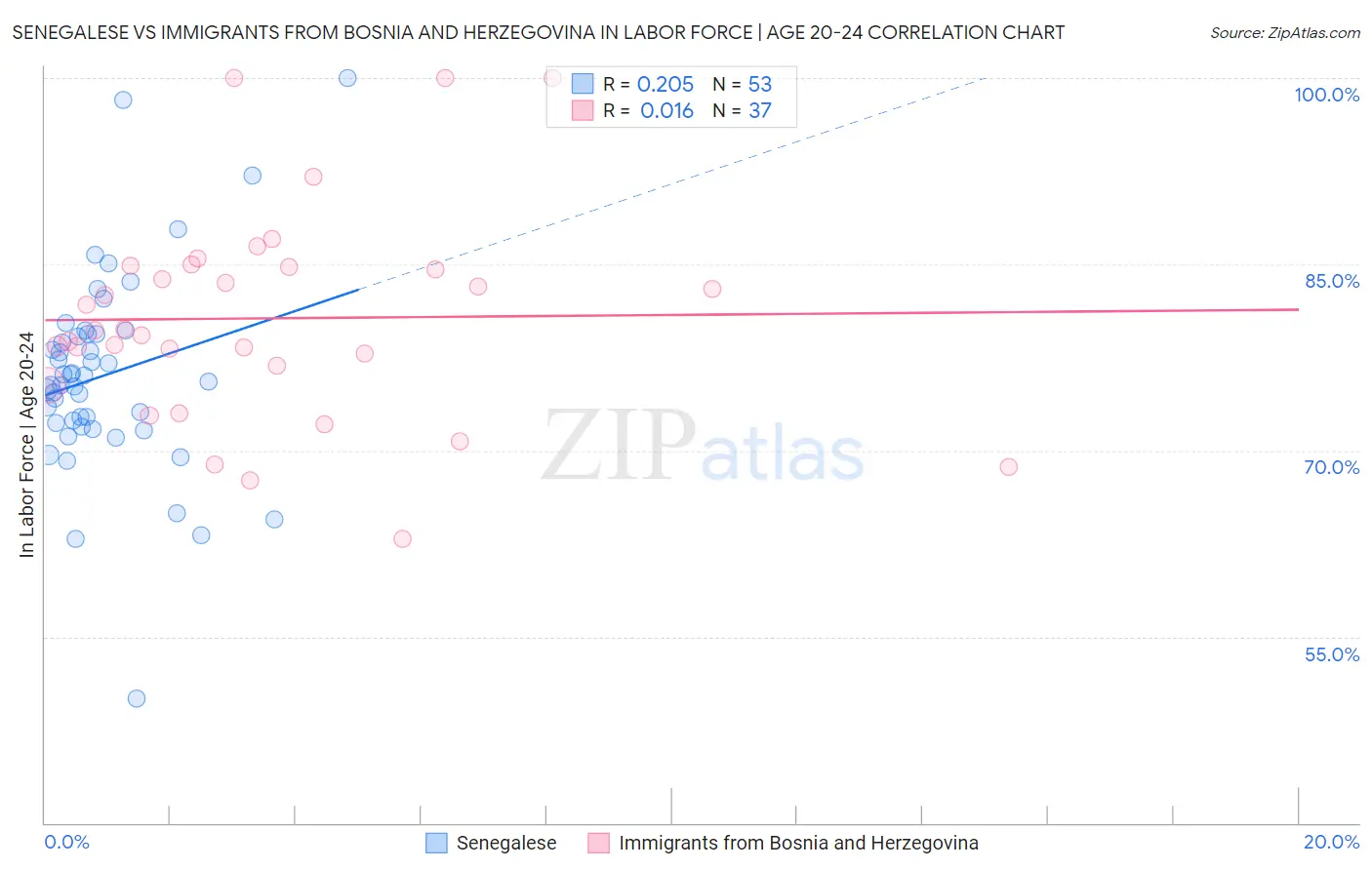 Senegalese vs Immigrants from Bosnia and Herzegovina In Labor Force | Age 20-24